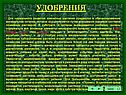Удобрения