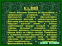 Калий