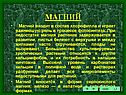 Магний