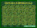 Обрезка и прищипка