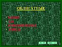 Облигатные