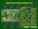 Профилактические мероприятия