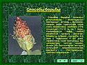 Способы борьбы