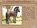 Справочный материал