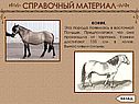 Коник