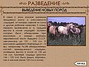 Значение