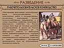 Рабочепользовательское коневодство