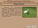 Типы пород