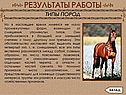 Обстоятельство