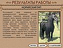Норийский тип