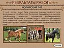 Породы тяжелого типа