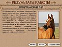 Монгольский тип