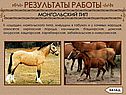 Киргизская порода