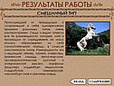 Смешанный тип