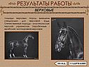 Лошади верховых пород