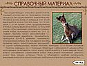 Продолжительная жеребость