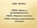 Кровь и кровообращение