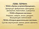 Эритроцит