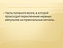 Часть головного мозга
