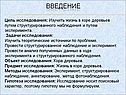 Изучить жизнь в коре деревьев