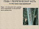 Теоретическая часть