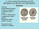 Трещины