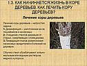 Лечение коры деревьев