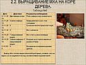 Результаты наблюдения