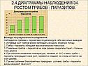 Диаграммы наблюдения за ростом грибов