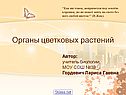 Корень биология