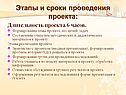 Этапы и сроки проведения проекта: