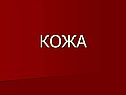 Кожа