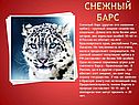 Снежный барс