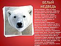 Красная книга России