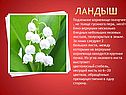 Ландыш
