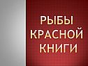 Рыбы Красной книги