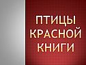 Птицы Красной книги