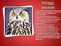 Птица филин