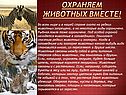 Охраняем животных вместе