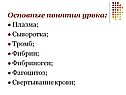 Основные понятия урока: