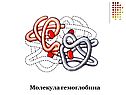 Молекула гемоглобина
