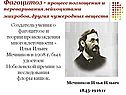 Фагоцитоз - процесс поглощения и переваривания лейкоцитами микробов,