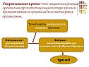 Свертывание крови -это защитная реакция организма, препятствующая