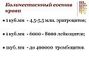 Количественный состав крови