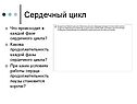 Сердечный цикл