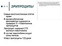 Эритроциты