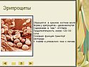 Эритроциты