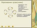 Переливание крови
