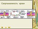 Свертываемость крови