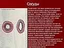 Сосуды